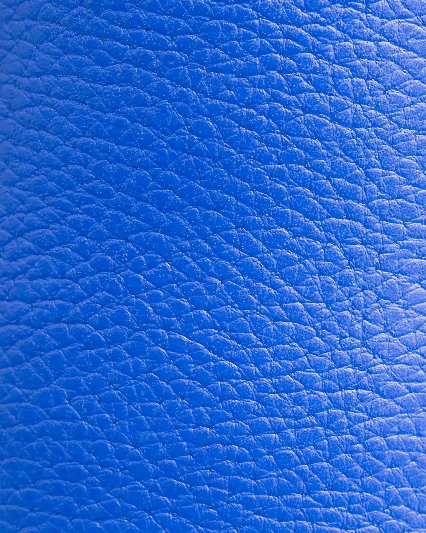 The Clog - Bluing - Image 8
