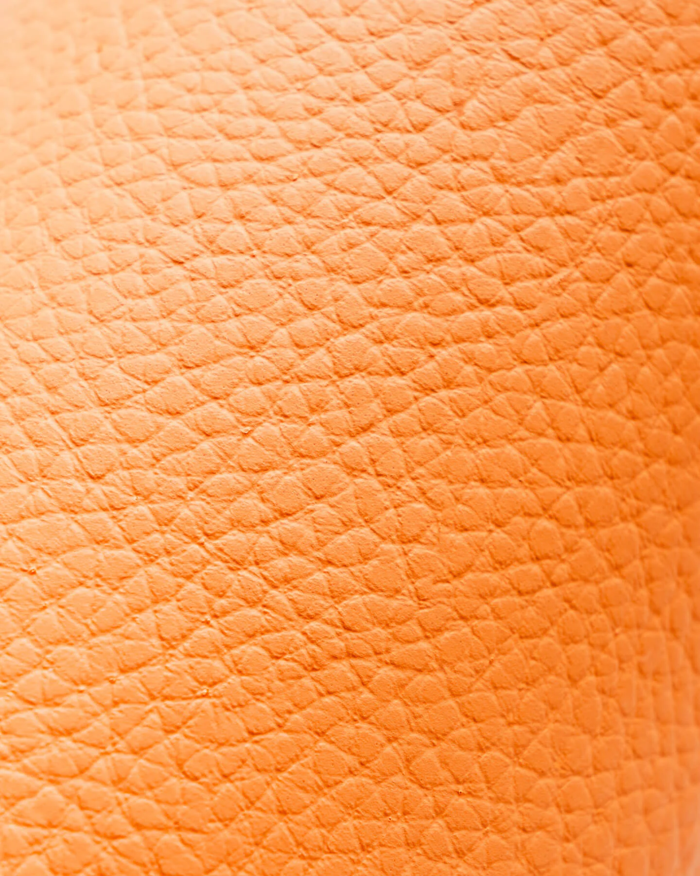 The Clog - Tangerine (VN) - Image 8